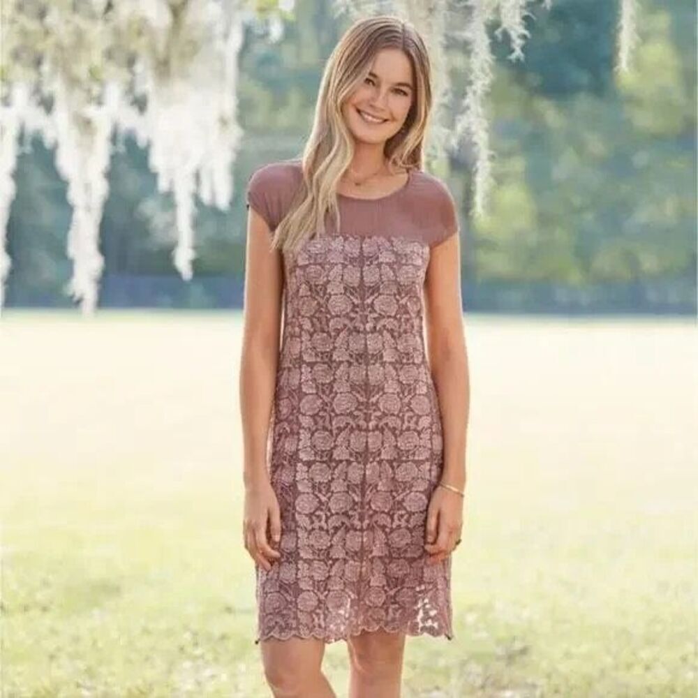 Sundance Angelica Dress Taupe Embroidered W/Illusion Neckline SzM NWOT Event